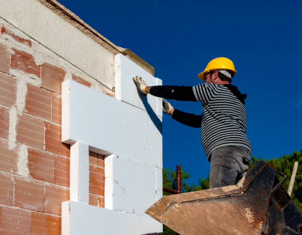 Best Geographic-Specific Insulation Services in Goddard, KS