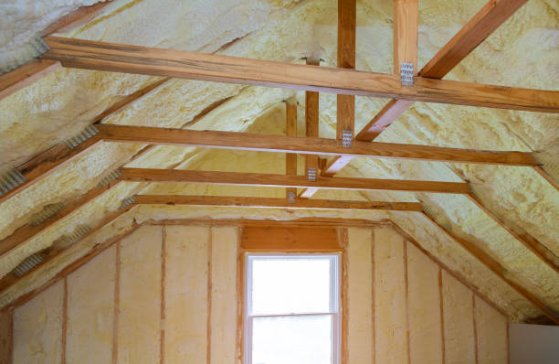 Professional Insulation Contractor in Goddard, KS