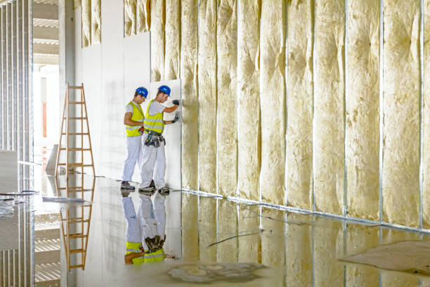 Best Fiberglass Insulation in Goddard, KS
